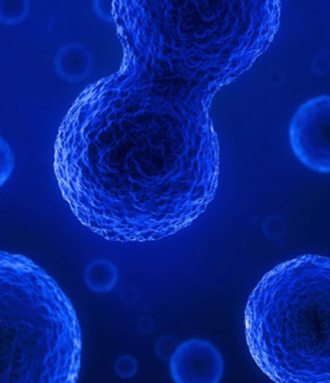 Folder Institucional